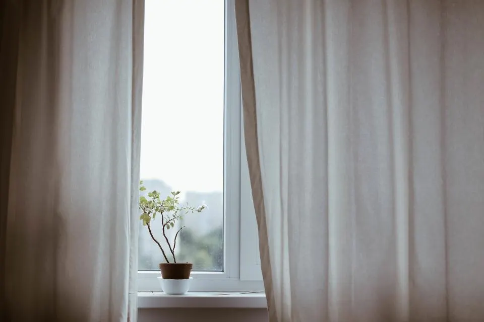 Ventana con luz natural
